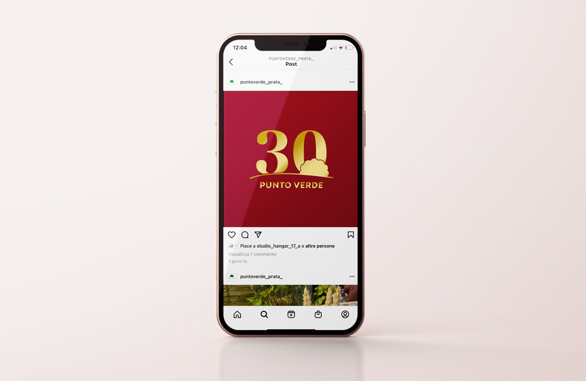 Post Instagram per i 30 anni di Punto Verde